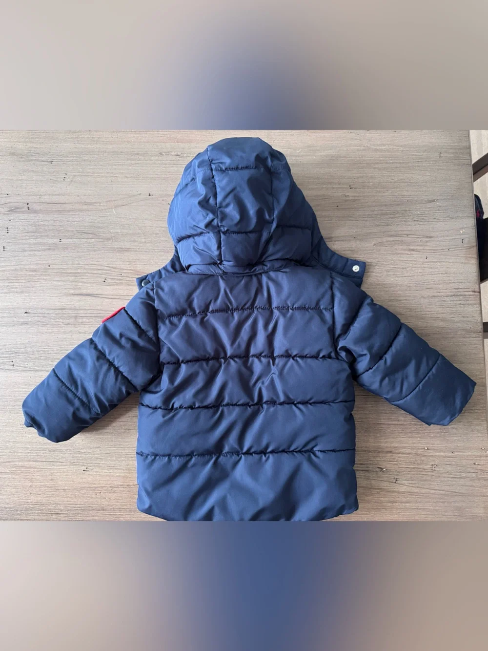 GAP baby Navy Puffer Jacket with Red Hood Lining